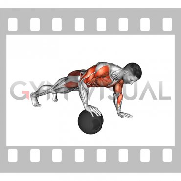 Medicine Ball Roll Plank (male)