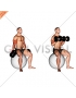 Dumbbell Seated Biceps Curl (on stability ball)