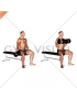 Dumbbell Seated Curl