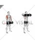 Dumbbell Upright Row
