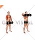 Dumbbell Upright Row