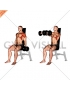 Dumbbell Seated Front Raise