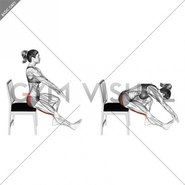 Seated Hamstring Stretch with Chair (female)