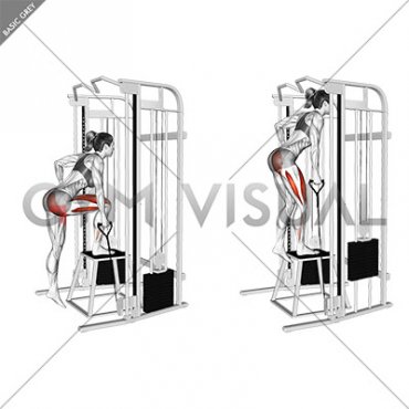 Cable Ipsilateral Glute Dominant Step-up (female)