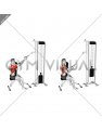 Cable Single Arm High Row with Chest Support