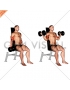 Dumbbell Seated Inner Biceps Curl