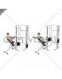 Cable Incline Rear Delt Fly with Back Support (male)