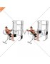 Cable Incline Rear Delt Fly with Back Support (male)