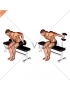 Dumbbell Seated Kickback