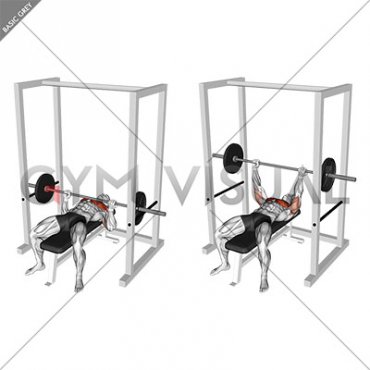 Barbell Pin Bench Press Conventional grip (male)