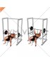 Barbell Pin Bench Press Conventional grip (male)