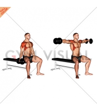 Dumbbell Seated Lateral Raise