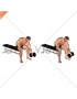 Dumbbell Seated One Arm Rotate