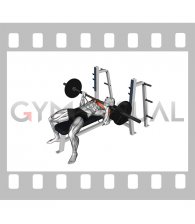 Barbell Banded Bench Press