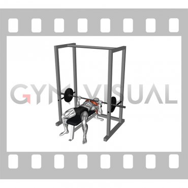 Barbell Pin Bench Press Conventional grip (male)