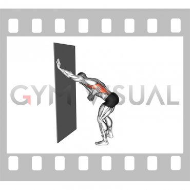 Single Arm Lat Stretch against Wall (male)