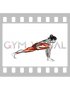 Flying Lizard Yoga Pose Utthan Pristhasana (female)