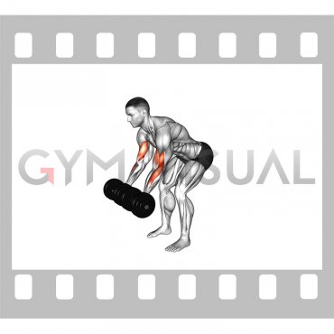 Dumbbell Bent Over Curl (male)