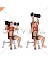 Dumbbell Seated Shoulder Press