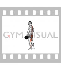 Dumbbell Ipsilateral Single Leg Stiff Leg Deadlift (male)