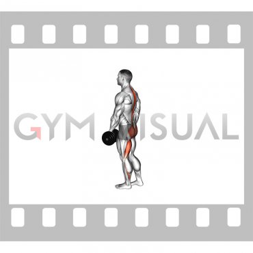 Dumbbell Ipsilateral Single Leg Stiff Leg Deadlift (male)