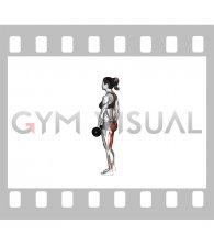 Dumbbell Ipsilateral Single Leg Stiff Leg Deadlift (female)