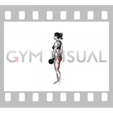 Dumbbell Ipsilateral Single Leg Stiff Leg Deadlift (female)