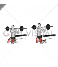 Barbell Squat (on knees)