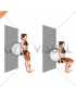 Dumbbell Squat (back on stability ball wall)