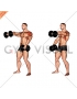 Dumbbell Standing Alternate Raise