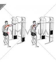 Cable Standing One Arm Face Pull