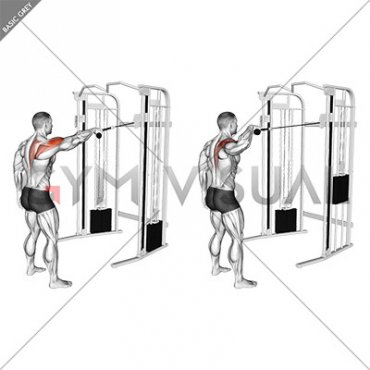 Cable Standing One Arm Face Pull