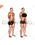 Dumbbell Standing One Arm Reverse Curl