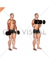 Dumbbell Standing Reverse Curl