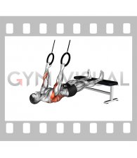 Ring Weighted Pronated Grip Inverted Row