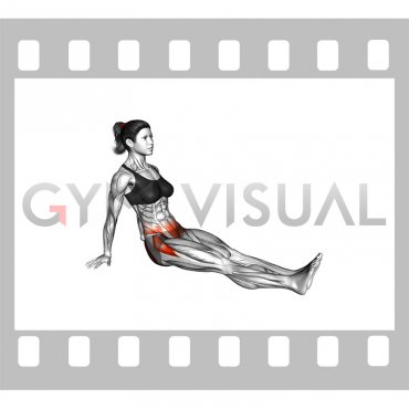 https://gymvisual.com/33426-large_default/seated-cross-leg-stretch-hold-female.jpg