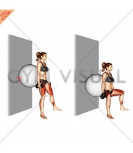 Dumbbell Sumo Squat (back on stability ball wall)