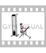 Cable Seated Leg Extension