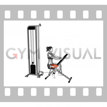 Cable Seated Single Leg Extension (female)