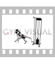 Cable Supported Single Leg Hamstrings Concentration Curl (female)