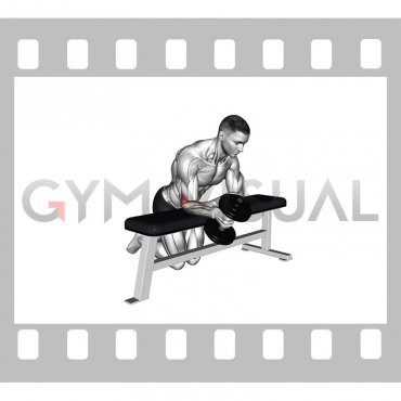 Dumbbell Over Bench One Arm Neutral Wrist Curl