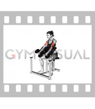 Dumbbell Hammer Preacher Curl (female)