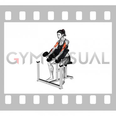 Dumbbell Hammer Preacher Curl (female)