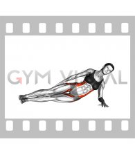 Side Plank Raise (female)