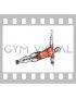 Side Plank Twist Arm Delt Raise (male)