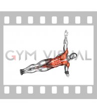 Side Plank Twist Arm Delt Raise (male)