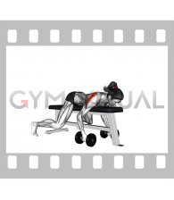 Dumbbell Lying Rear Lateral Raise (female)