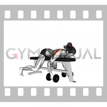 Dumbbell Lying Rear Lateral Raise (female)