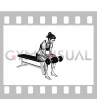 Dumbbell Seated Palms-up Wrist Curl (female)