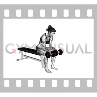 Dumbbell Seated Palms-up Wrist Curl (female)